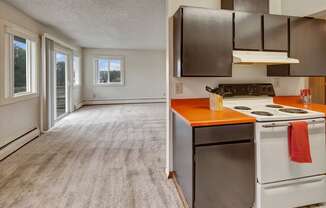 Arctic Sun Dining Room