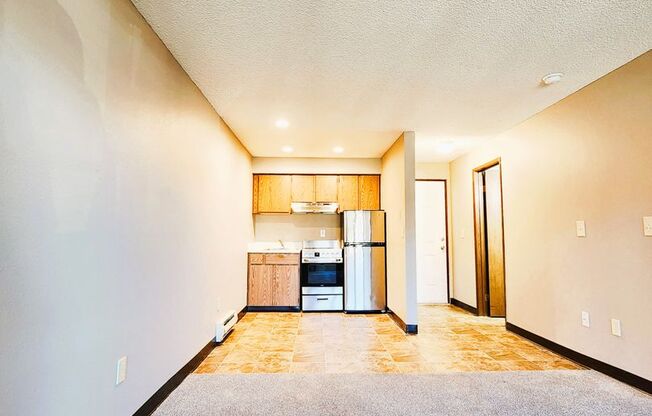 Studio, 1 bath, 440 sqft, $1,005, Unit 217