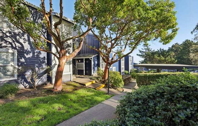 A tree in front of a house.