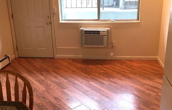 Studio, 1 bath, 250 sqft, $1,245, Unit 107
