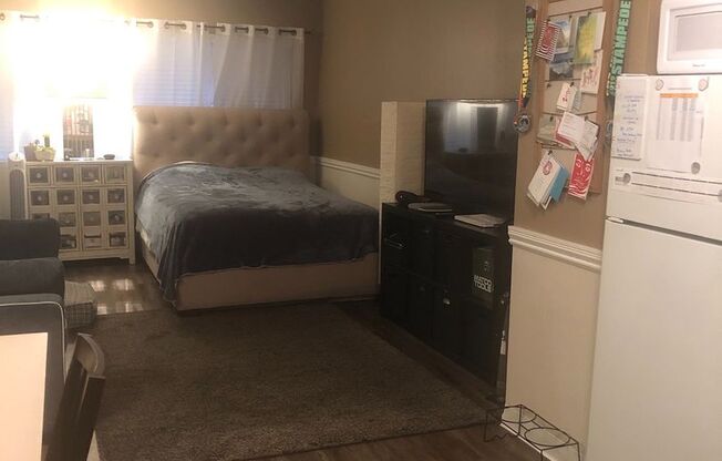 Studio, 1 bath, 450 sqft, $1,100, Unit 305