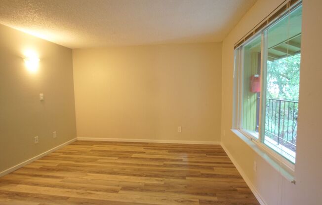 1 bed, 1 bath, $1,295, Unit 3920