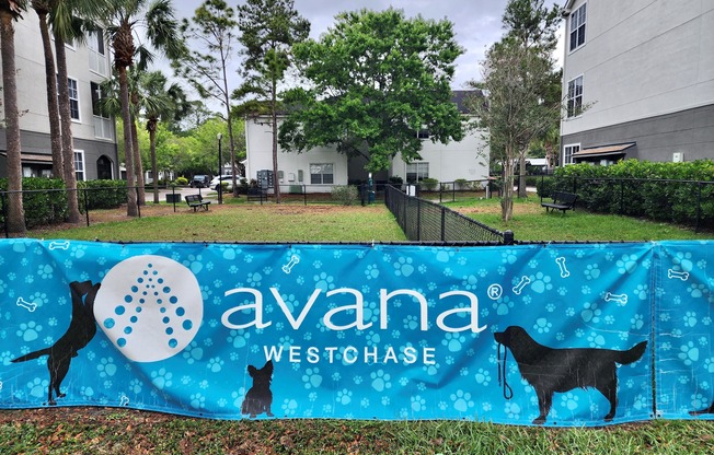 Community dog park at Avana Westchase Apartments in Tampa, Florida.