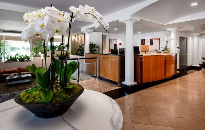 A large flower pot with white flowers sits on a marble table in a spacious room.