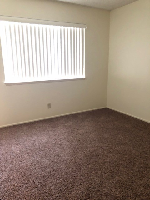 2 beds, 1 bath, $2,595