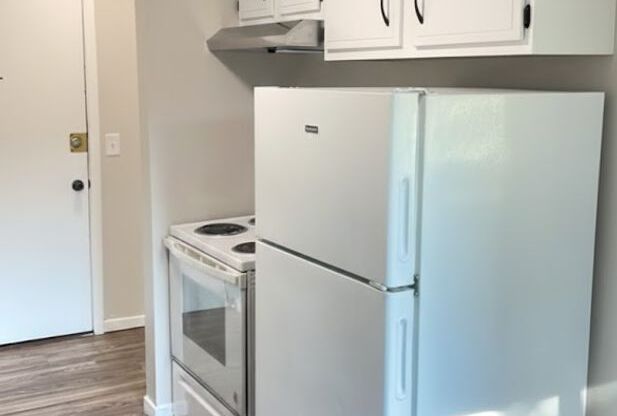 1 bed, 1 bath, 610 sqft, $1,285, Unit 241-105