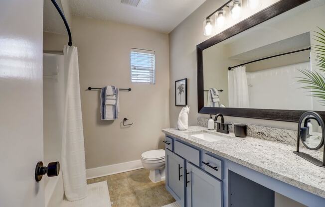 a bathroom with a toilet and a sink and a mirror