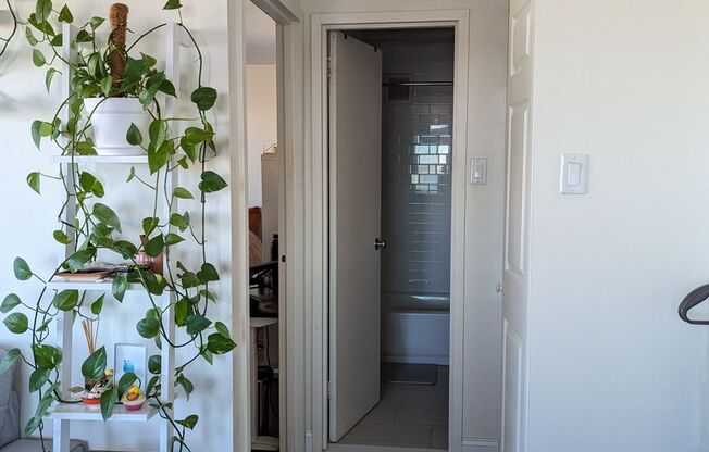 1 bed, 1 bath, 606 sqft, $3,300, Unit 1501