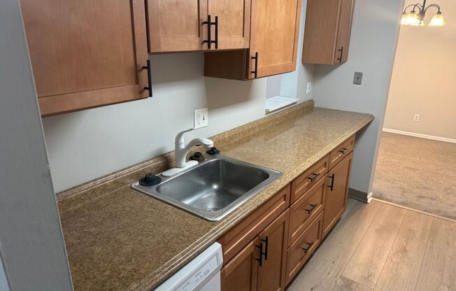 Bright & Spacious Condo in Sought-After Glenhardie Community