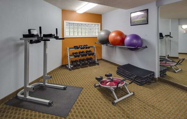 Fitness center with weights and yoga balls