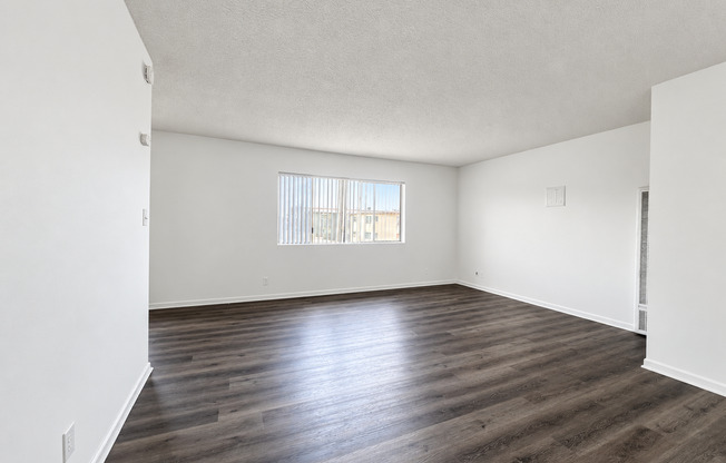 Spacious Studio - Renovated - Parking Available!