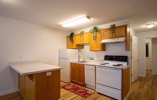 Renovated St Johns-1Bdr w/Modern Appliances + Washer/Dryer!
