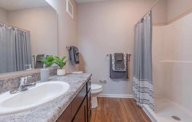 a bathroom with a sink and a toilet