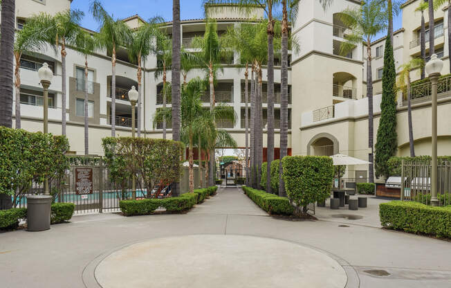 A courtyard surrounded by palm trees and buildings.