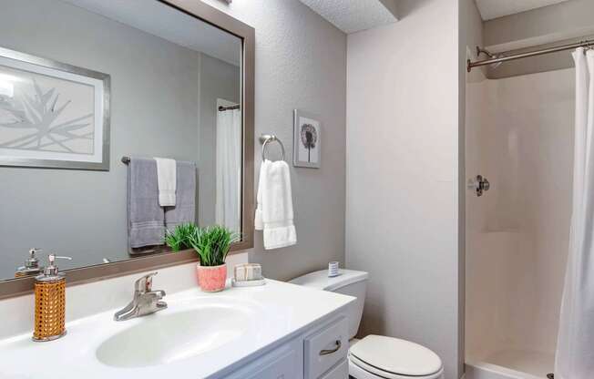 Bathroom with updated countertops