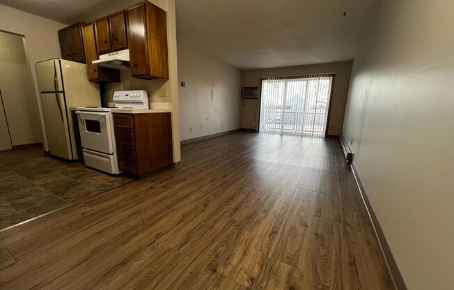 1 bed, 1 bath, 900 sqft, $700, Unit 303