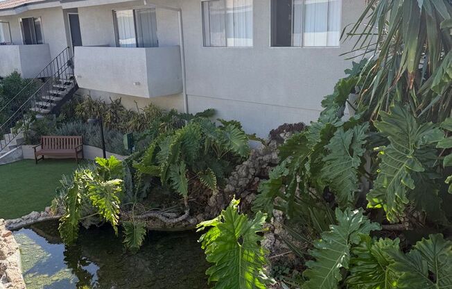 1 bed, 1 bath, 800 sqft, $2,245, Unit #41