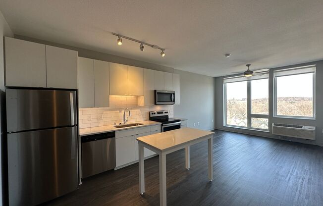 Studio, 1 bath, 455 sqft, $1,245, Unit 214