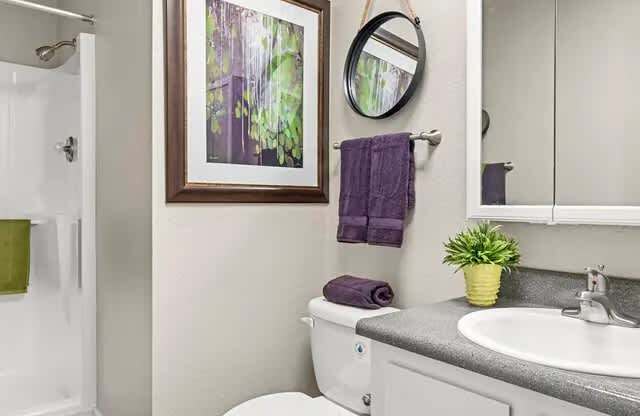 A bathroom with a toilet, sink, and a mirror.