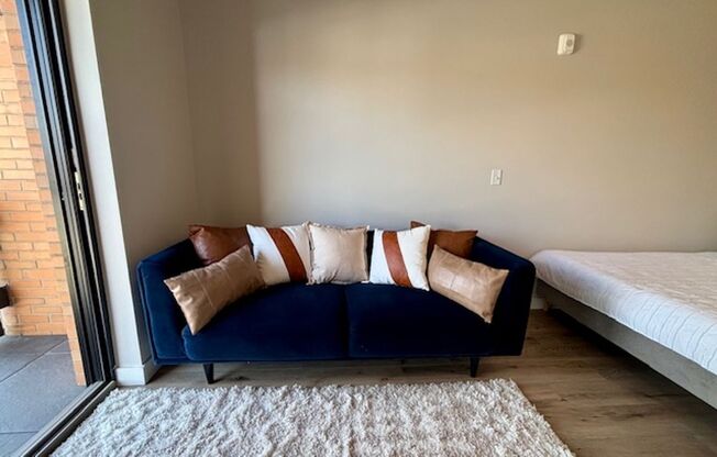 Studio, 1 bath, 325 sqft, $1,100, Unit 221