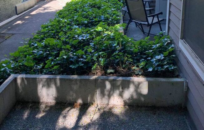 1 bed, 1 bath, 525 sqft, $1,715, Unit 101