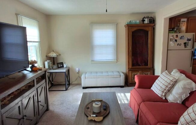 1 bed, 1 bath, 563 sqft, $1,025, Unit Apt 419