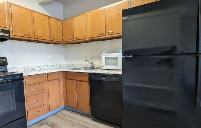 1 bed, 1 bath, 700 sqft, $1,400, Unit 303