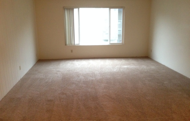 turner22 2936 Willamette St