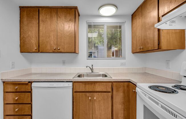 1 bed, 1 bath, 672 sqft, $1,450, Unit 1003