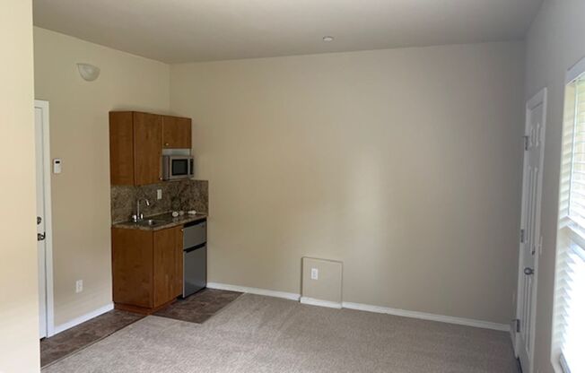 Studio, 1 bath, 137 sqft, $1,315, Unit 7A