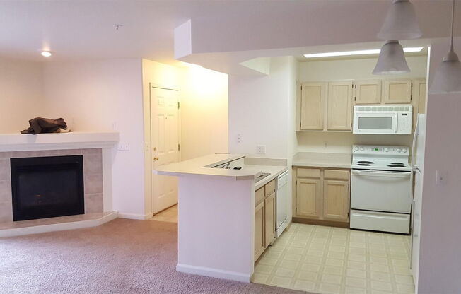 4545 Wheaton Dr