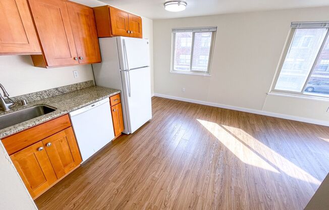 1 bed, 1 bath, 495 sqft, $1,495, Unit 302