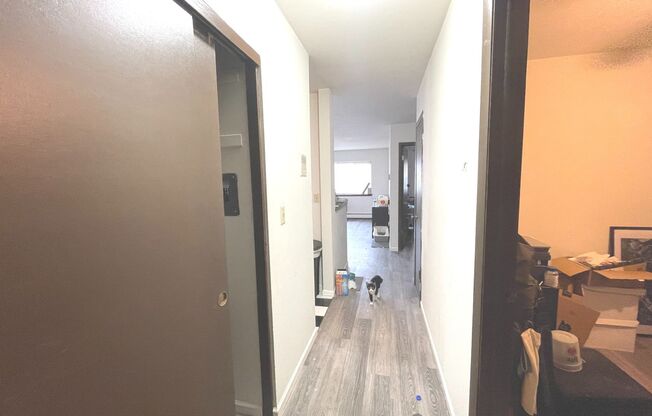 1 bed, 1 bath, $1,195, Unit 308