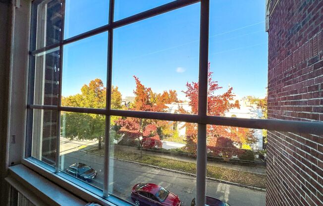 Studio, 1 bath, 462 sqft, $1,695, Unit 304