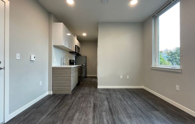 Studio, 1 bath, 243 sqft, $1,295, Unit 207