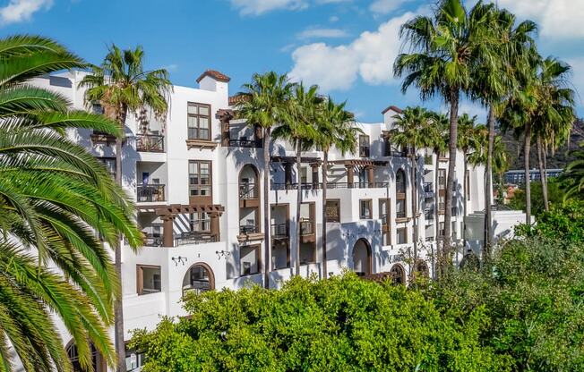 exterior building of promenade rio vista apartments and palm tree lush landscaping