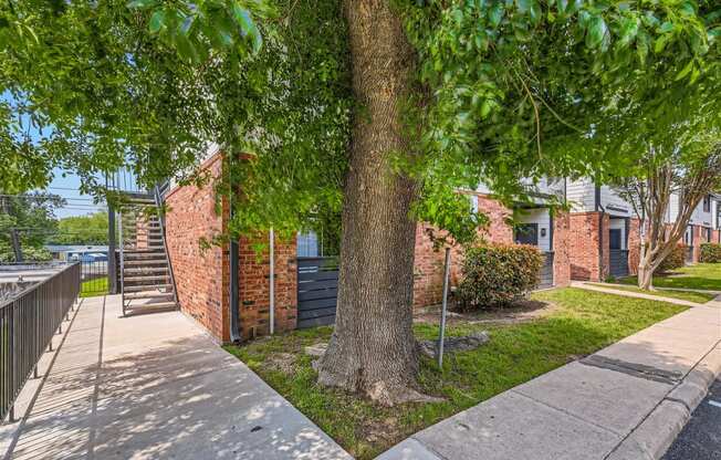 a tree in front of a brick building with a sidewalk
