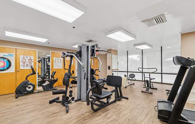 A gym with a variety of equipment including treadmills, weights, and exercise machines at Hampton Apartments, Clearwater, FL