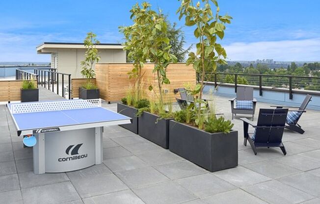 Studio, 1 bath, 325 sqft, $1,405, Unit 203