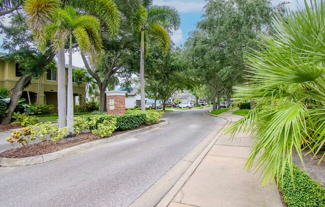 South Tampa Pool Home - 4 Bedrooms - 3 Bathrooms