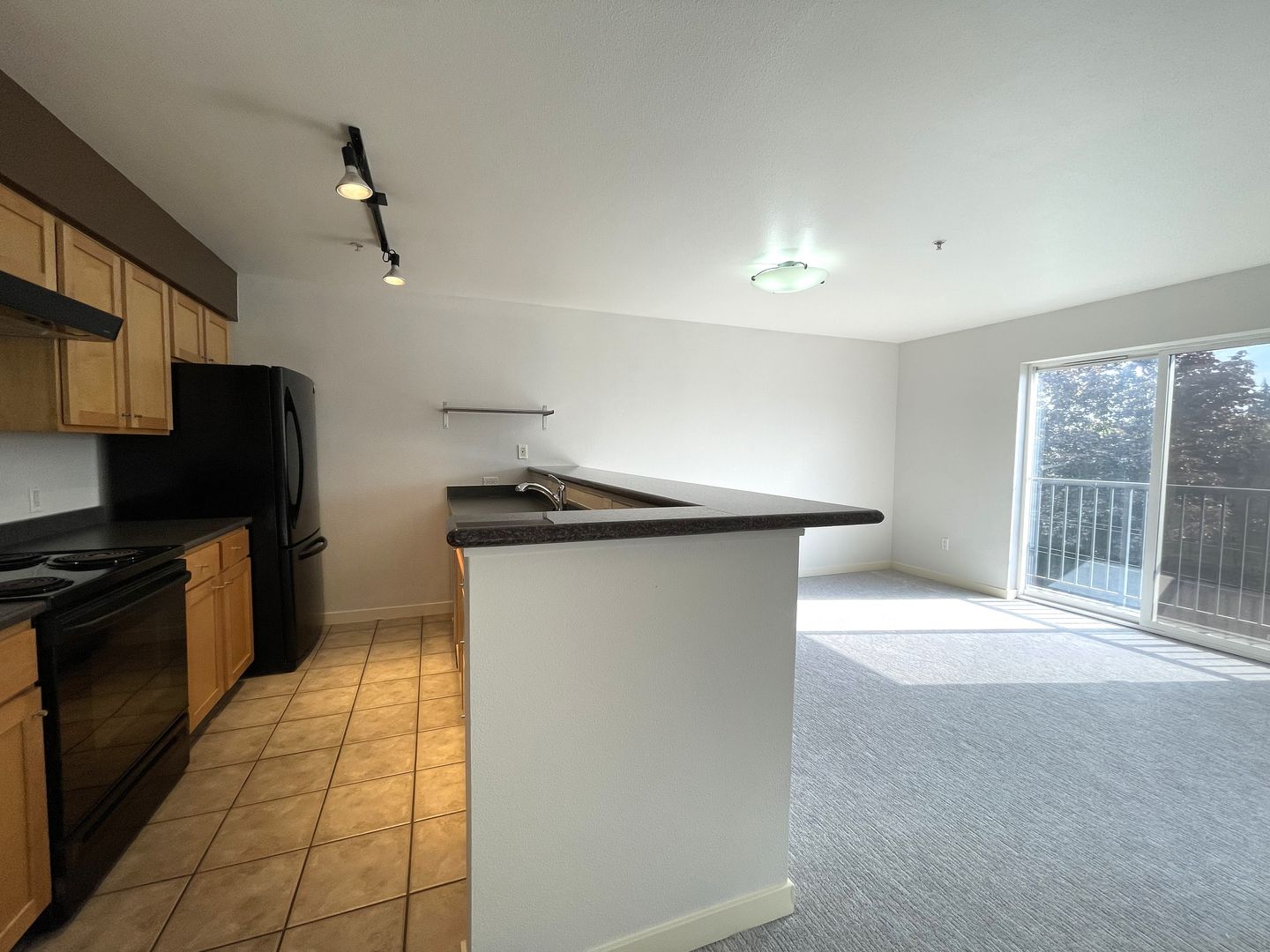 1Bd/1Ba Seattle Condo