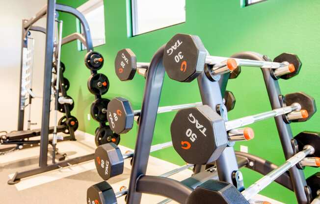 a row of dumbbells in a gym