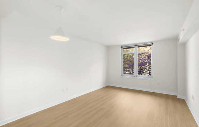 Living Room with Hard Surface Flooring