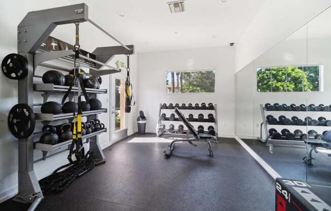 a gym with weights and mirrors on the wall