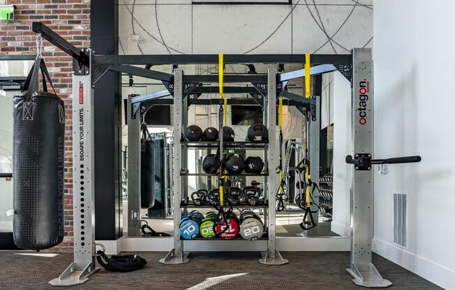 Fitness Center With Modern Equipment at Alta Longwood, Longwood, Florida