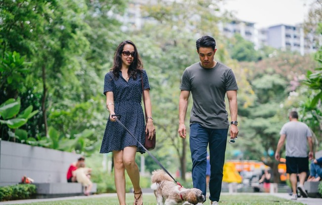 a man and a woman walking their dogs in a park
