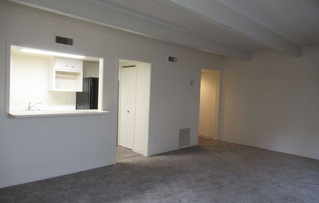 1 bed, 1 bath, $1,350, Unit #375