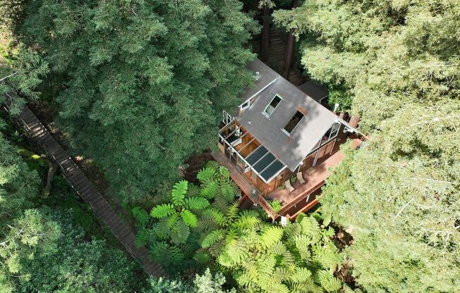 MAGICAL RETREAT – A SECLUDED HAVEN IN THE REDWOODS