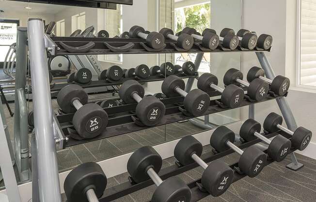 Gym with cardio and weights l Vue at the Lake in Sacramento