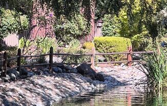 COMING SOON- Santa Clara!! Spacious upstairs 2 BR 2BA set among old growth Redwoods!